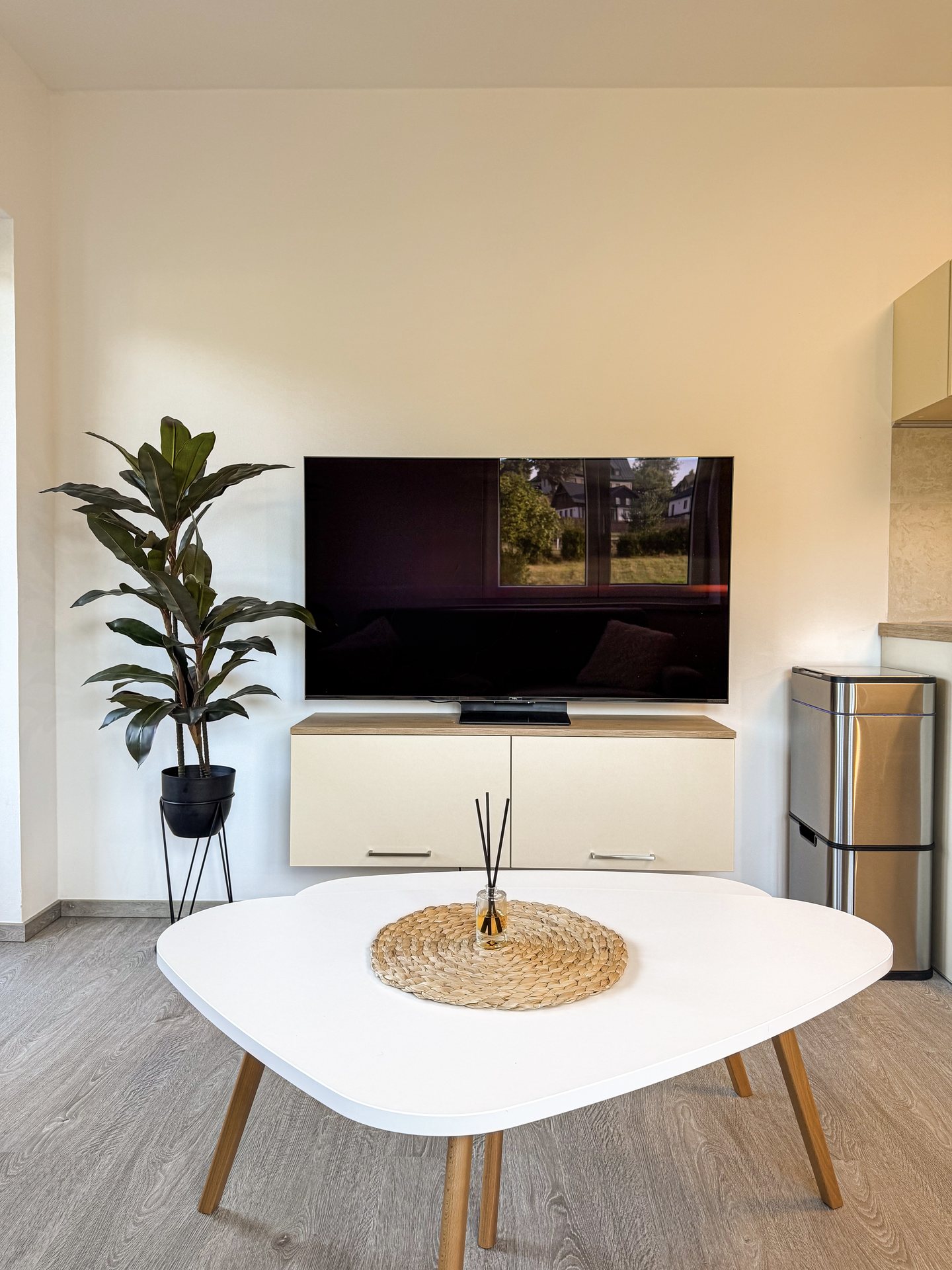 Velká Smart TV, designový stolek a rostlina v obývacím pokoji – Apartmány Panorama